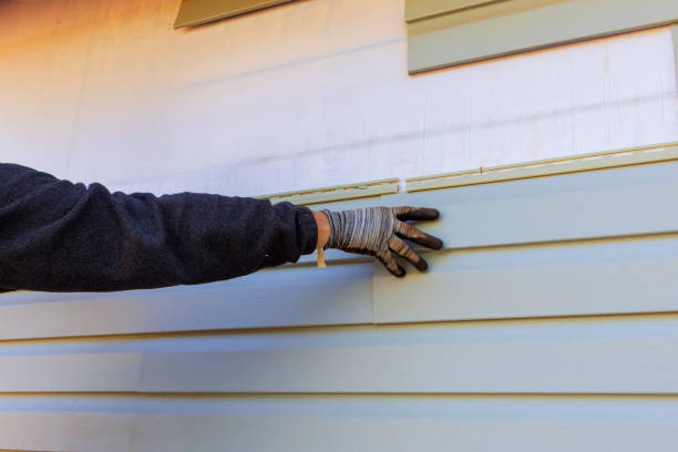 Affordable Siding Repair and Maintenance Services in Lake Dallas, TX